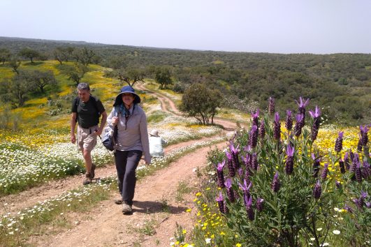 walking Portugal