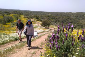 walking Portugal
